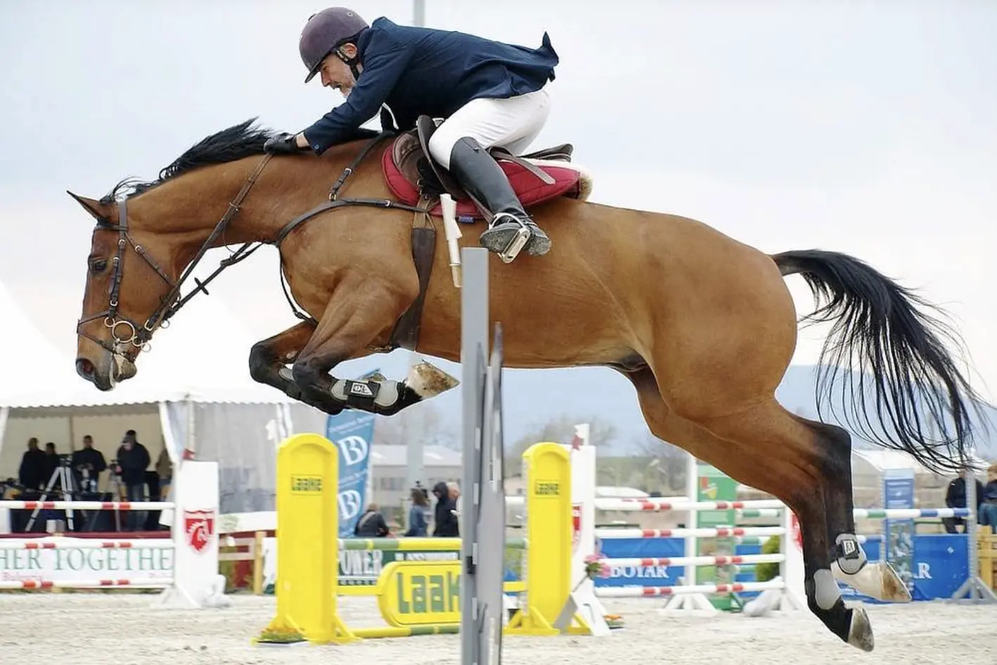 pixaby public domain