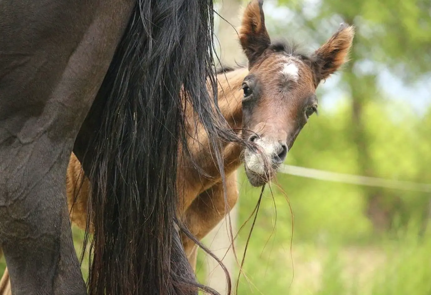 Screenshot 2025-10-29 at 20.21.51