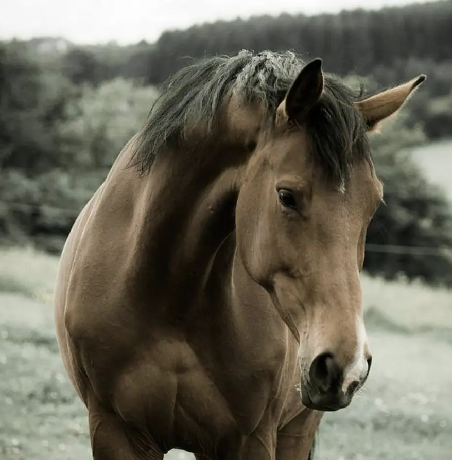 Screenshot 2025-10-29 at 20.32.27