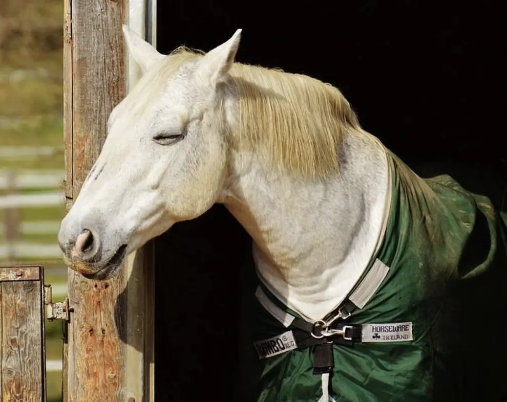 Screenshot 2025-10-29 at 20.32.58