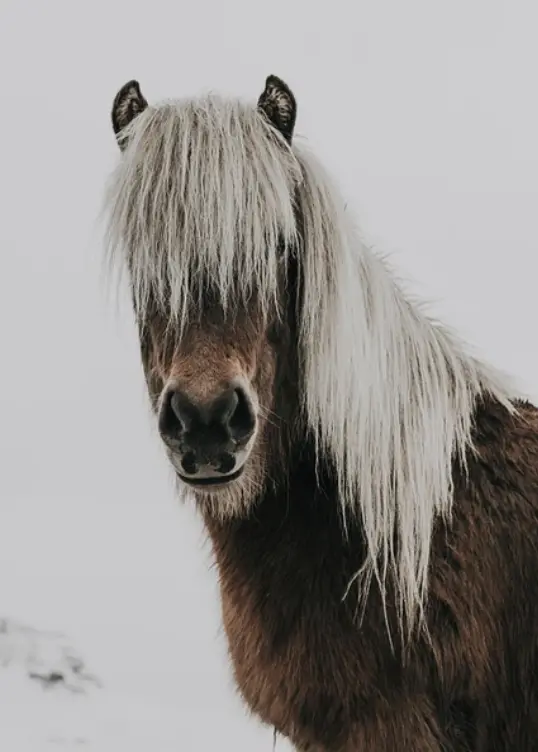 Screenshot 2025-10-29 at 20.43.06