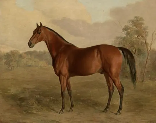 Screenshot 2025-10-29 at 20.43.15