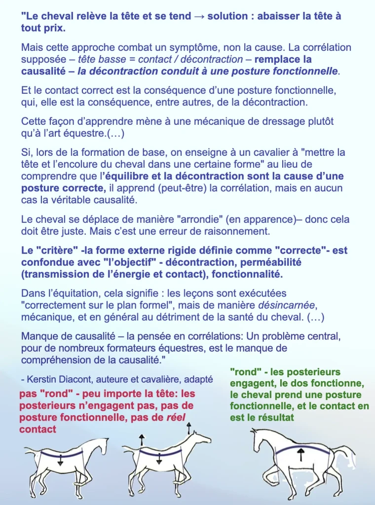 contact posture fonct