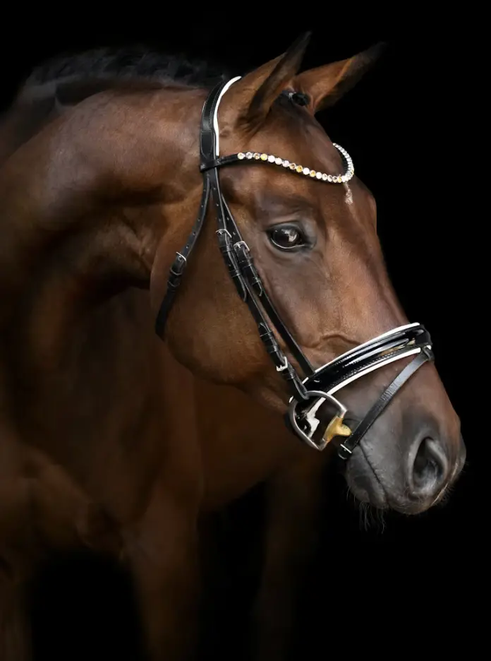 Image: Unsplash / Luisa Peter