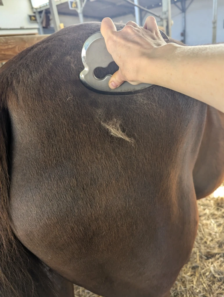 PXL_20260409_092649021