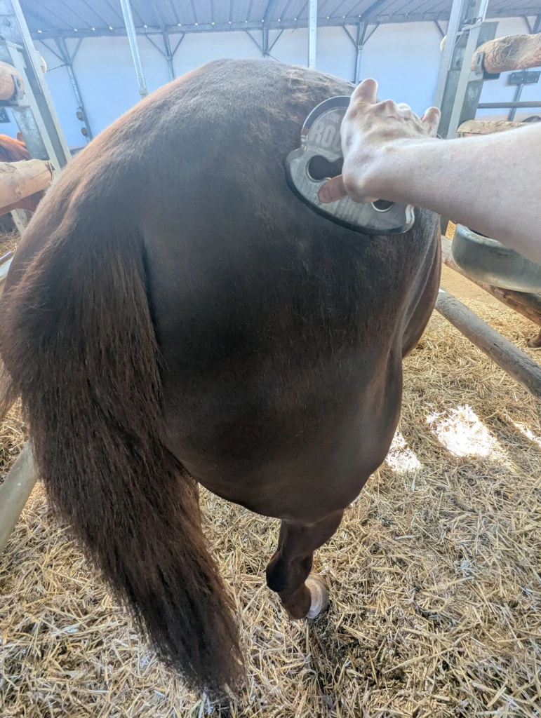 PXL_20260409_092732155