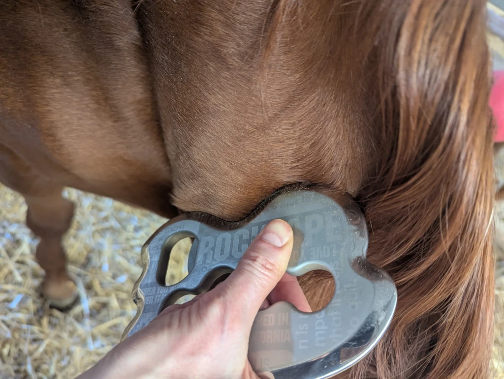 PXL_20260409_114052478